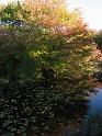 2008-10-11_Tiverton_Trustom 112